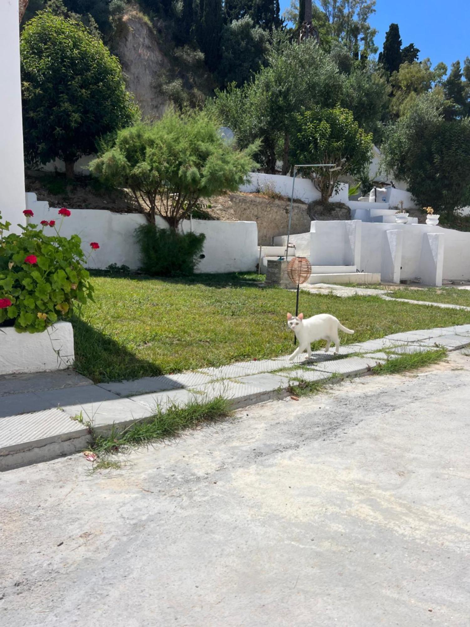 Artaki R Apartments Koroni  Luaran gambar